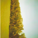 abususdigitorum avatar