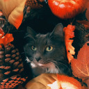 abysmal-oceans-of-emotions avatar