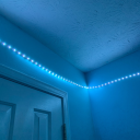 abyssalphantasm avatar