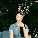 ac-dreamsims avatar