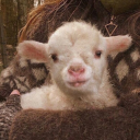 ac3-0f-sp4d3s1 avatar