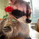 ac3-0f-spad35 avatar