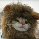 acactusandababylamp avatar