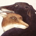 academiccocobean avatar