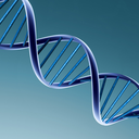 academiceagerness avatar