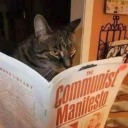 academicsanonymous avatar