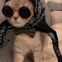 acatinatrenchcoat avatar