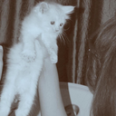 acatiscurious avatar