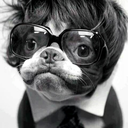 acatnamedfish avatar