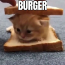 accessibility-babey avatar