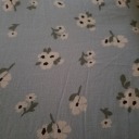 accidental-cottagecore avatar