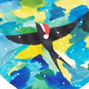 accidental-spice avatar