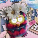 accidentalfurb avatar