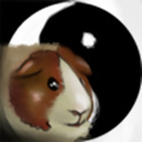 accio-cavy avatar