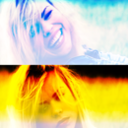 accioblackbird-blog avatar