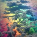 accioconfusion avatar