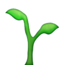 accioguitardis avatar