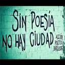 accion-poetica-argentina avatar