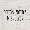 accionpoeticamishuevos avatar