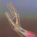 accionpoeticaoficial avatar