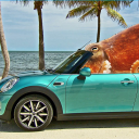 account-of-a-tale avatar