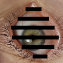 ace-trainer-alice avatar