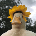 aceandthespade avatar