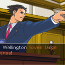 aceattorneyheadcanons-blog avatar