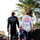 acebirdofprey avatar