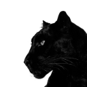 aceitasecompanhia avatar