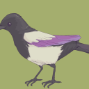 acemagpie avatar