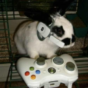 aceofspades2008 avatar