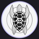 aceofturtles avatar