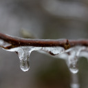 acertainaesthetic avatar