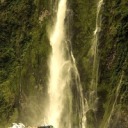 acertainpavane avatar