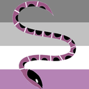 acesnakes-blog avatar