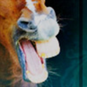 achangeofrein avatar