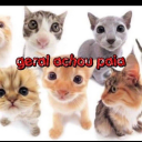 achilles-boobs avatar