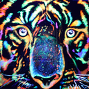 acid-tiger-blog-blog avatar