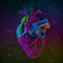 acidamentevale avatar