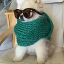 acidblackcherries avatar