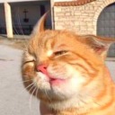 acidblockedyou avatar