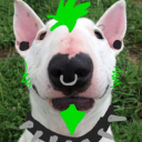 acidgreendog avatar