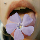 acidtripforever avatar