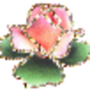 acidtrippping-blog-blog avatar