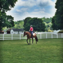 acircuitdiaries avatar