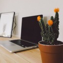 ackerschnacker avatar