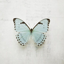 acleanwell-lightedplace avatar