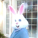 acloserlookatwesternaesthetics avatar