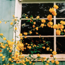 acoalesce-blog avatar